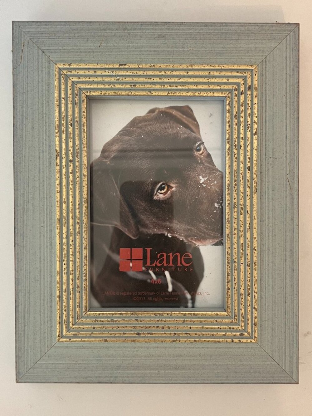 Turquoise/Gold Lane Photo Frame 5x7